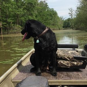 Meet your Posher, Hunter